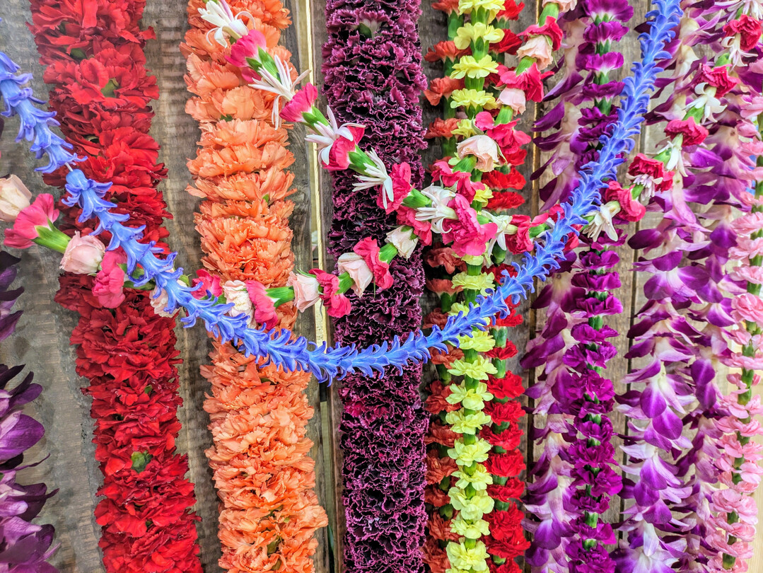 Bl�tenk�pfe in Reihung. Ein kostbares Pr�sent und Symbol der Gastfreundschaft auf Hawaii.
