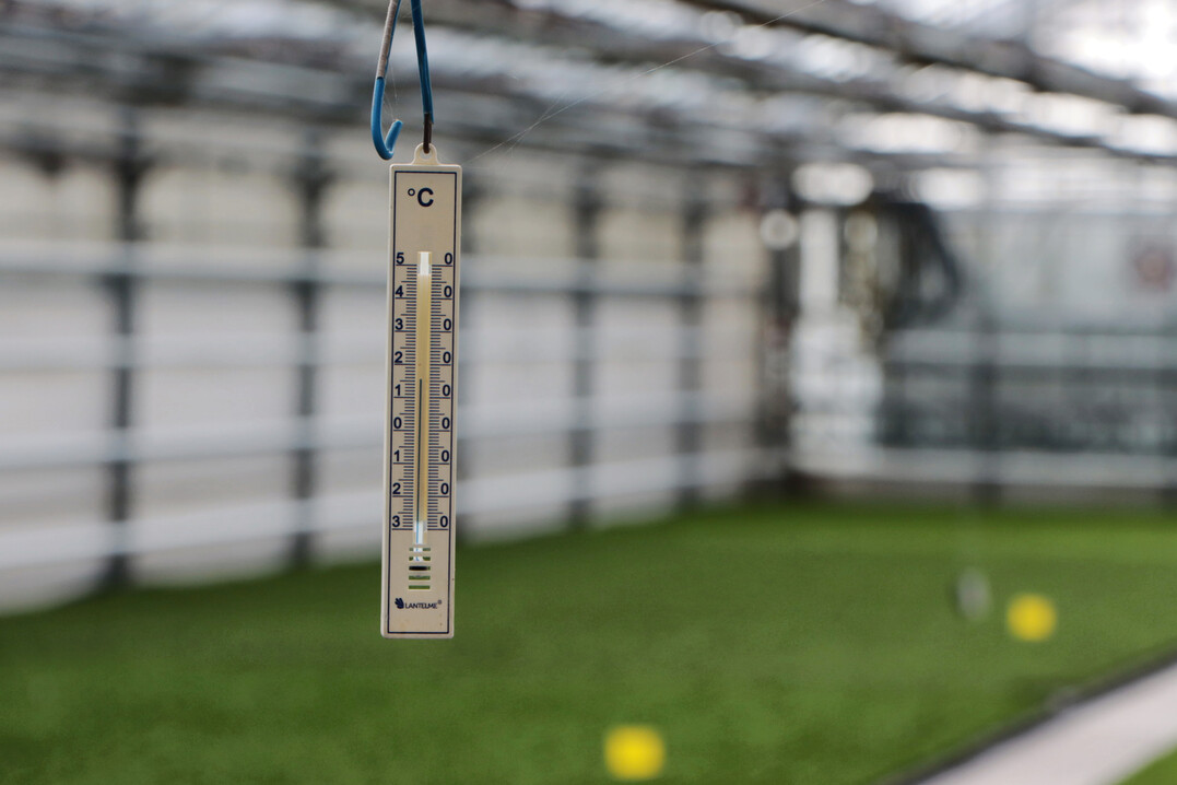 Die Temperatur in der Wirtschaft und im Handel ist derzeit eine k�hle.