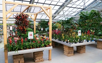 Das Tropica war ab den 1960er-Jahren als Kakteen May bekannt  produziert wurden Kakteen und Zimmerpflanzenraritten. Zimmerpflanzen spielen auch im Tropica mit 15 % Umsatzanteil eine wichtige Rolle.