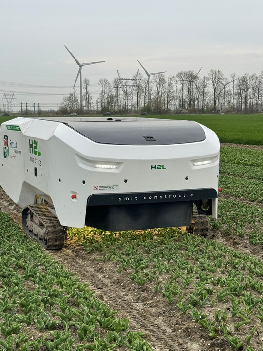 KI-gesteuerter Roboter auf dem Tulpenfeld