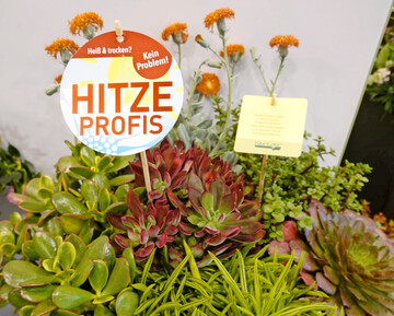 Pflanzenkonzepte bieten fertig gedachte Lösungen für Kunden.