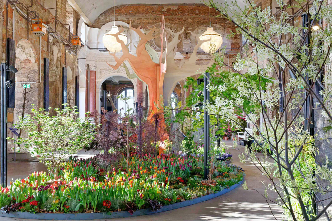 Der Weltenbaum als Sinnbild f�r die Natur ist Mittelpunkt der Fr�hlingsblumenausstellung "Dresdner Fr�hling im Palais", die vom 27. Februar bis 8. M�rz 2026 im Palais im Gro�en Garten Dresden zu erleben ist. Die fast sechs Meter hohe Baumskulptur steht inmitten eines gro�en Blumenmeers. 