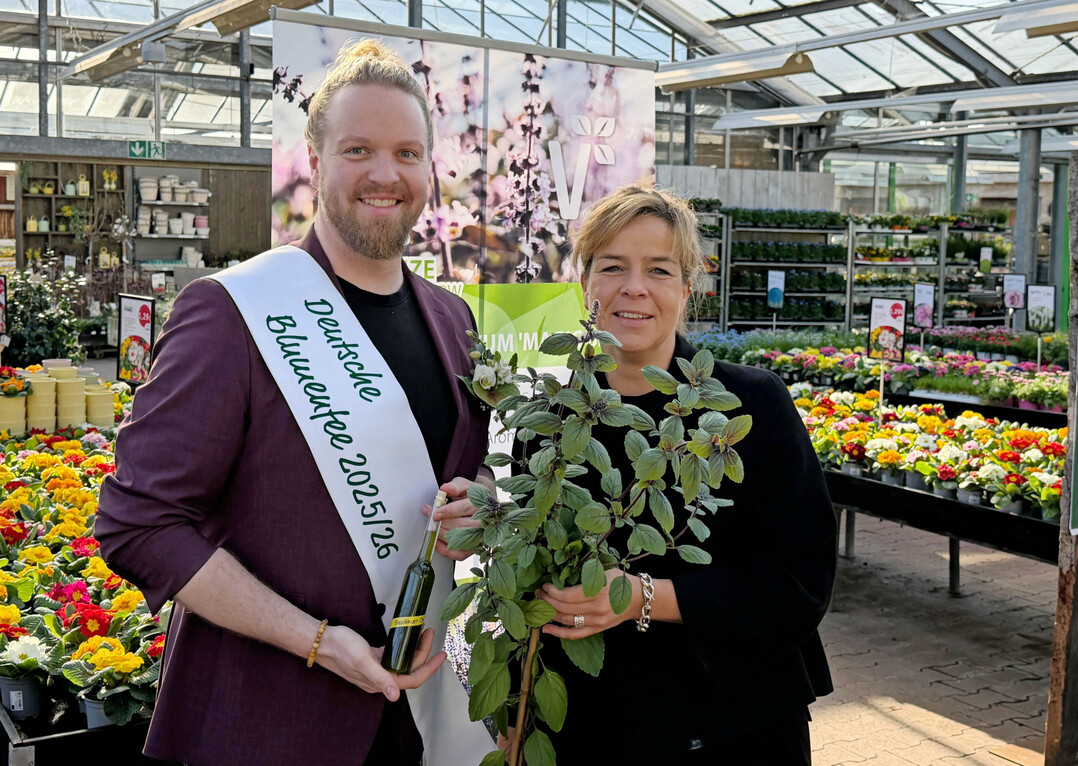 NRW-Wirtschafts- und Klimaschutzministerin Mona Neubaur und die Deutsche Blumenfee Hannes Schrader präsentieren den Strauchbasilikum „Magic Blue“, die Pflanze des Jahres 2026 im Gartenbau NRW.