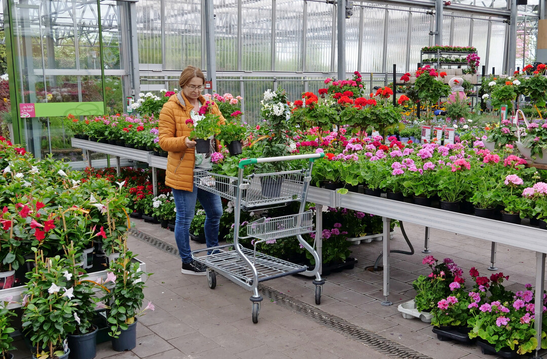 Kundin beim Saisonpflanzenkauf