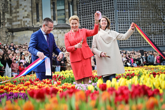 (v.l.) Arjan Smit (TPN-Pr�sident), Franziska Giffey (B�rgermeisterin von Berlin und Senatorin f�r Wirtschaft, Energie und Betriebe) und Hester Somsen (Botschafterin des K�nigreichs der Niederlande in Deutschland) zerschnitten um 12 Uhr feierlich das niederl�ndisch-deutsche Band.