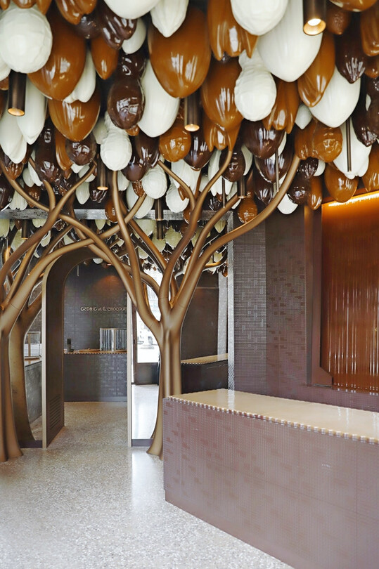 Wie von glänzender Schokolade überzogene Bäume wachsen mit ihren schokoladigen Früchten in den Himmel.