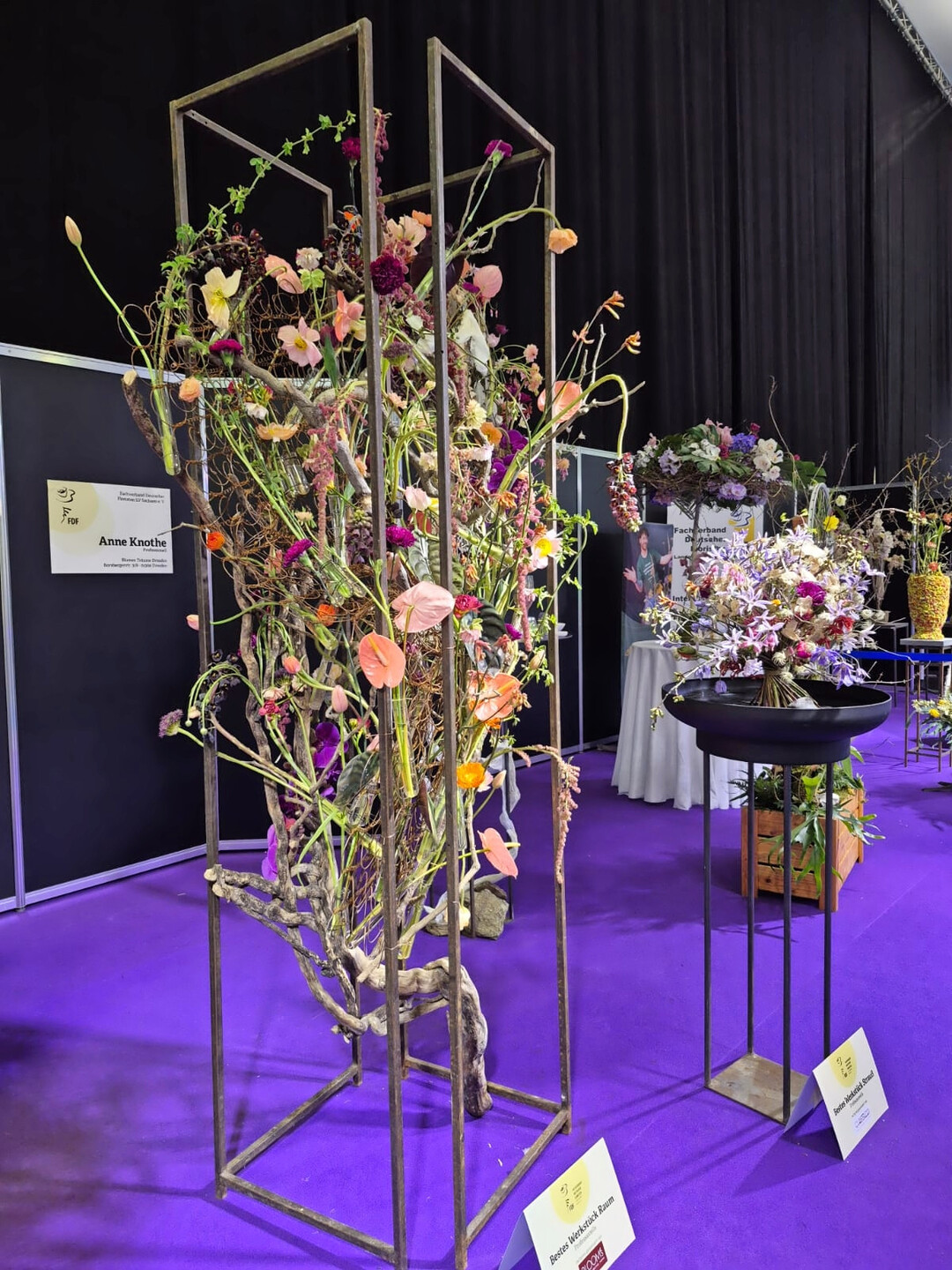 Der 2. Dresdner Flora Cup wurde in zwei Kategorien � Juniors und Professionals�� ausgetragen. Es galt drei Aufgaben zu bew�ltigen: Tischschmuck f�r einen Stehtisch, an dem Orchideenfreunde ins Plaudern geraten; einen Gegenstand, der ein zweites Leben verdient hat, als Raumschmuck floristisch zu verarbeiten; und ein gebundenes Werkst�ck f�r eine Pers�nlichkeit des letzten Jahrtausends. Anne Knothe bekam in allen drei Kategorien das beste Juryurteil.  