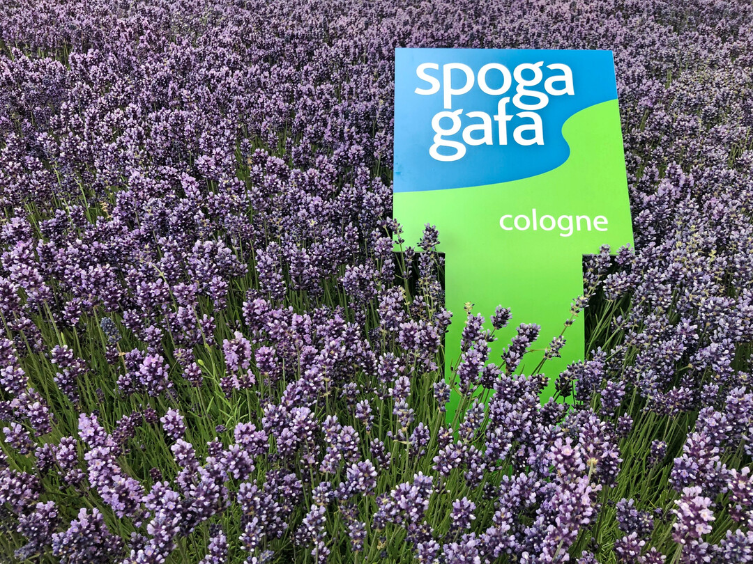 Die spoga+gafa findet vom 22. bis zum 24. Juni in der Koelnmesse statt.