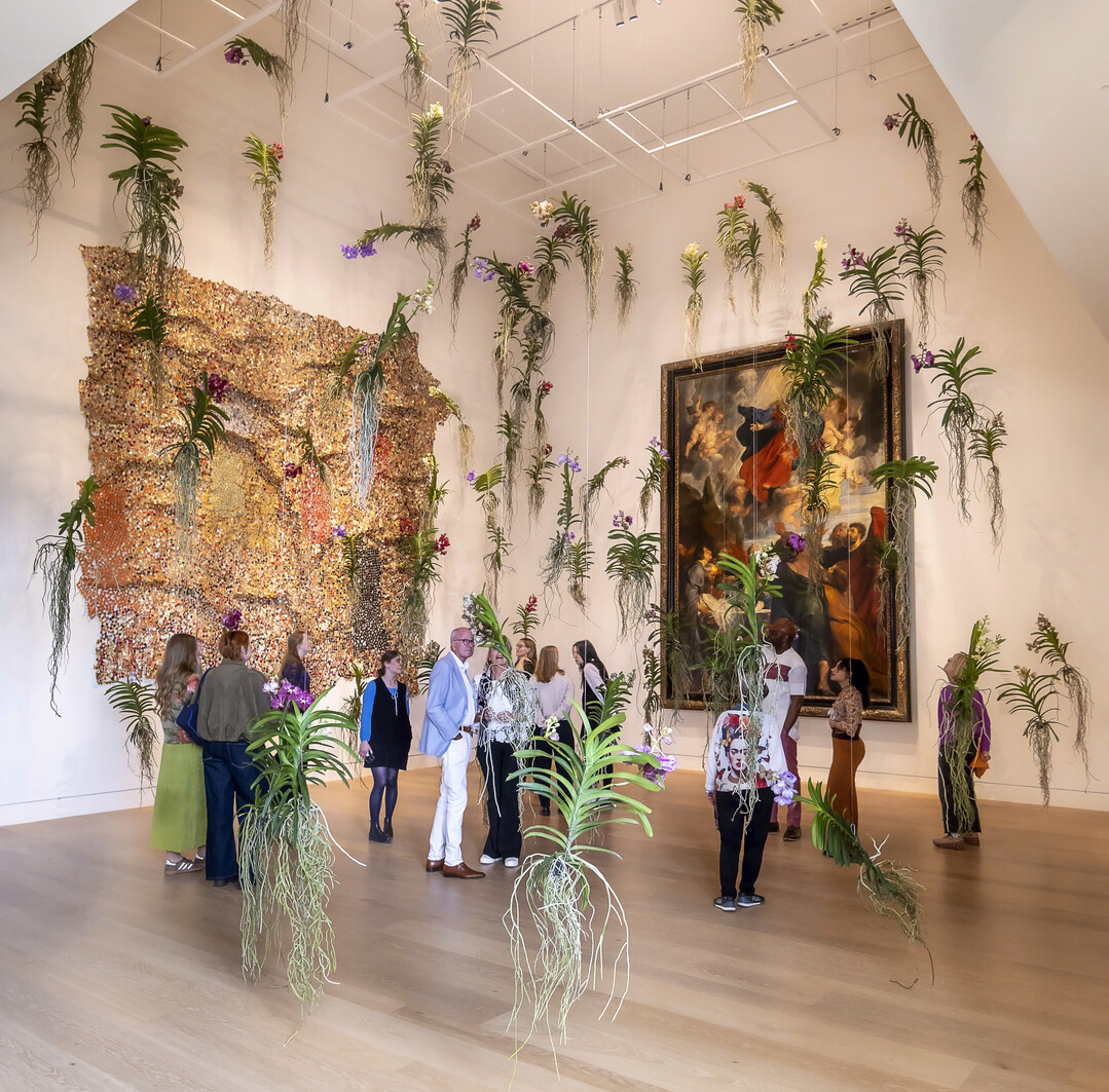 Himmelsgarten, Tino Hoogterp und Team, Blumenhaus am Hofgarten, 100 Vanda-Orchideen // Bronnersaal