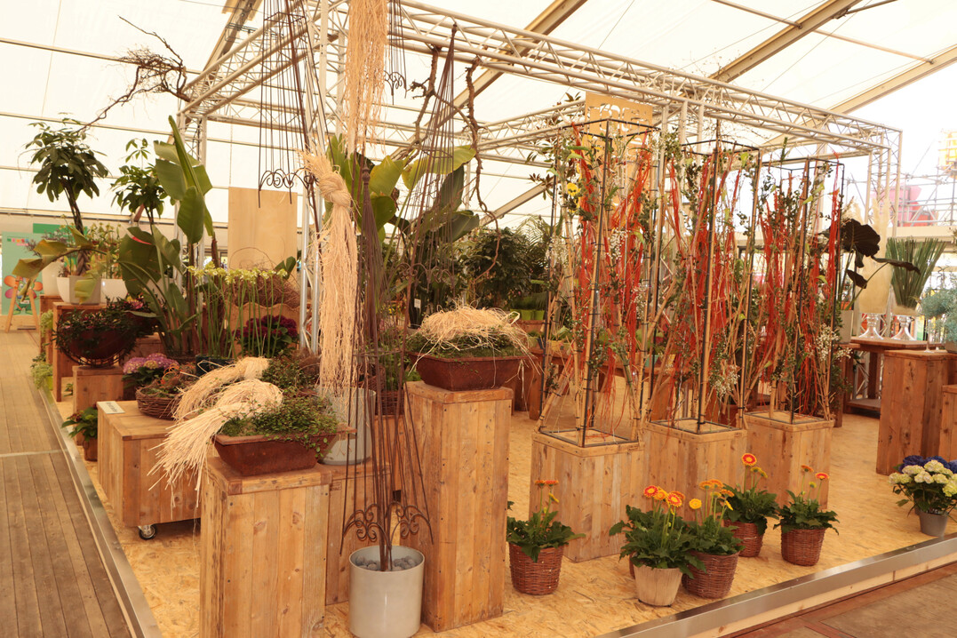 Helles Holz ist das vorherrschende Material im Oase Eventzelt. 