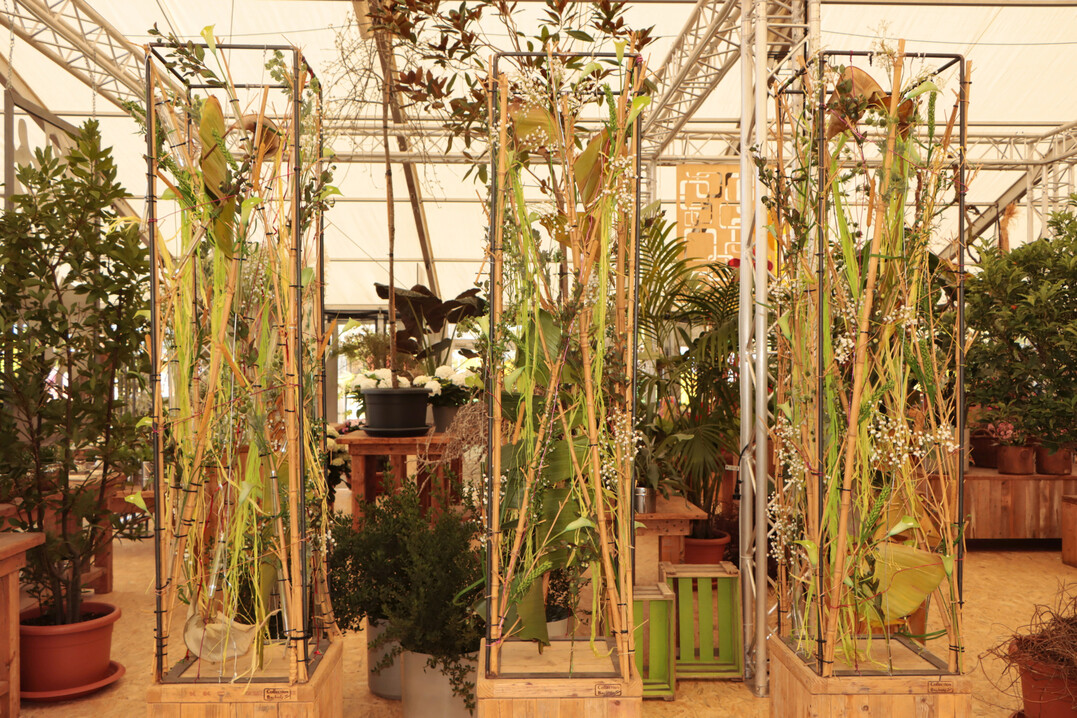Metallrahmen erm�glichen eine vielseitige floristische Ausgestaltung. 