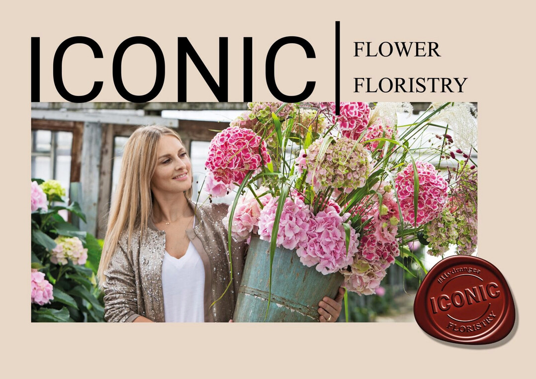 Die visuelle Signatur der Kampagne besteht aus einem auffallenden Rahmen und einem Wachssiegel. 