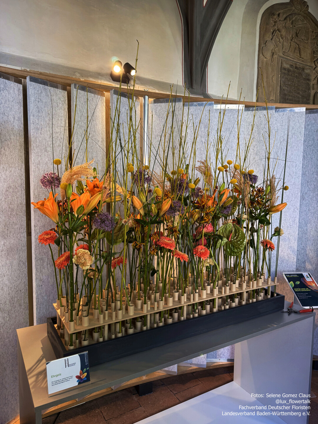 �Wahre Werte�� wie Blumen uns begleiten�, hei�t die Er�ffnungsschau, die unter der Leitung von Gabriele Haufe entstand. Kreative, detailreiche florale Werke machen die Botschaften der Blumen erlebbar. In den aussagekr�ftigen Kompositionen l�sst sich die tiefe Verbindung zwischen Natur, Gef�hlen und dem Leben selbst entdecken.