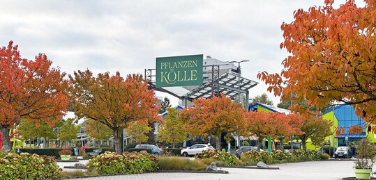 Beliebtester Gartenmarkt und mit dem Qualit�tsurteil �sehr gut� bewertet.