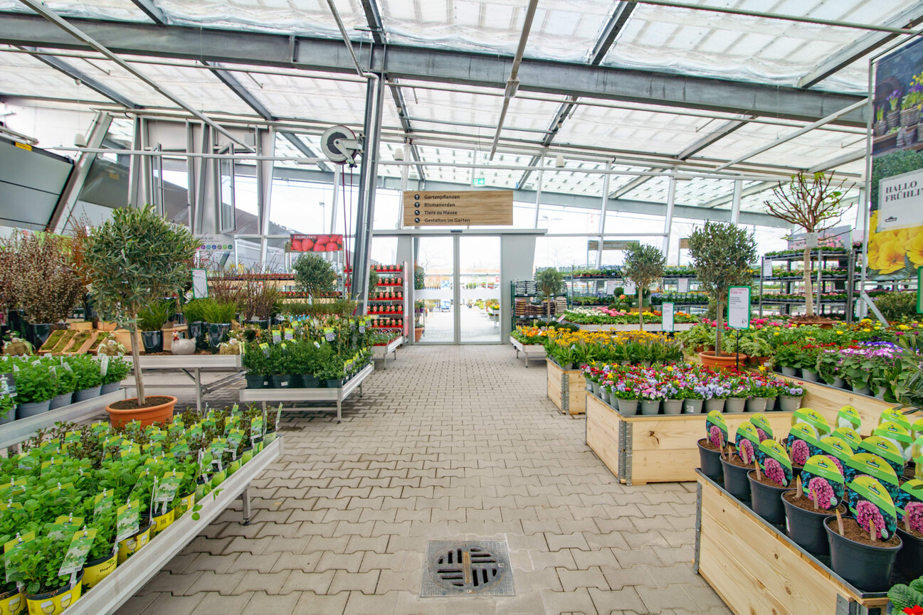 Neues GartenCenter in DessauRoßlau DEGA GRÜNER MARKT