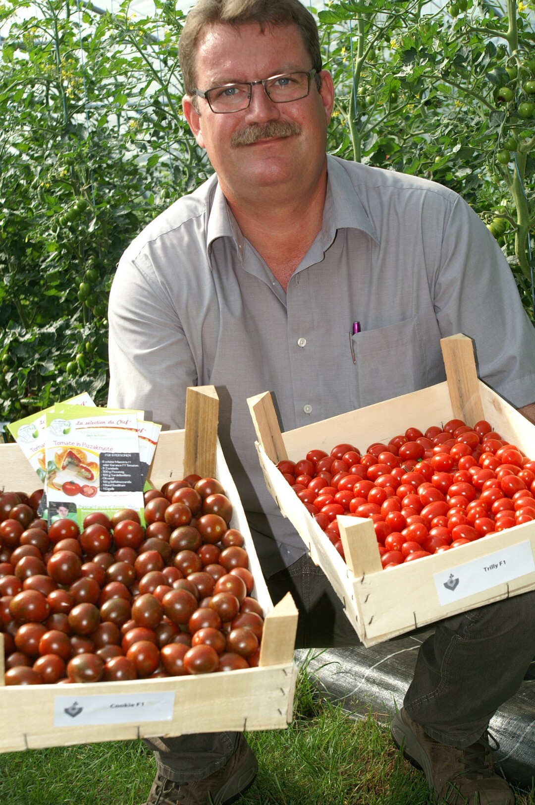 Zwei aus 200: Grtnermeister Ralf Schrder prsentiert die beliebten Tomatensorten Cookie und Trilly. Whrend der Tomatenwoche wurden rund 200 Sorten verglichen.