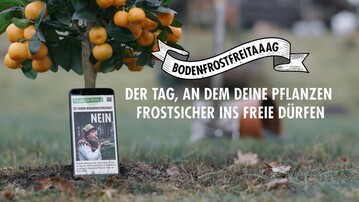 Im Mittelpunkt der Kampagne zum Bodenfrostfreitag steht ein Online-Tool, das Push-Nachrichten bei Frostgefahr sendet.