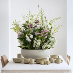 Dendrobien, die Traubenorchideen, sind pflegeleicht und überzeugen mit langem Blütenreichtum.