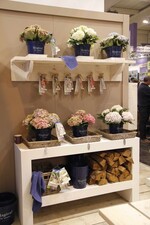 Magical Four Seasons – die Hortensien-Marke einer Kooperation von sechs europäischen Baumschulen