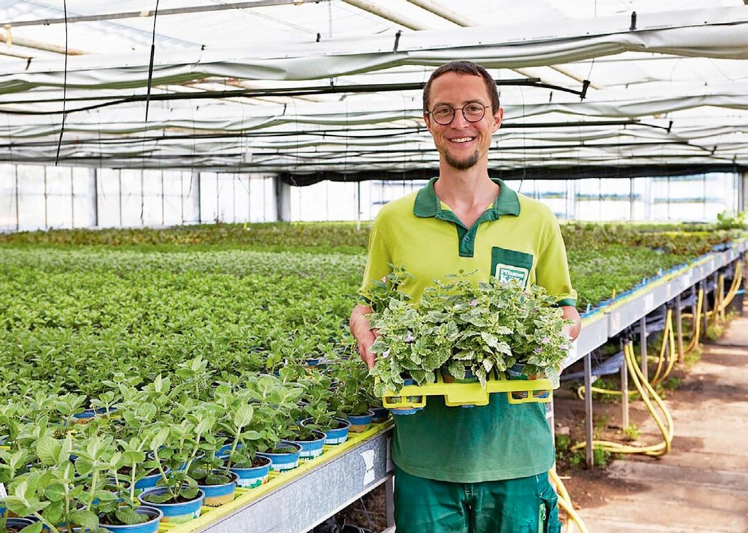 Produzenten, die Pflanzen-Kölle beliefern, müssen sich seit 2019 beim Einsatz von Pestizidenan den Grenzwertkatalog halten, der im Pestizidreduzierungsprogramm definiert wurde.