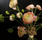 Annalena Mundorff (
<a href="https://www.instagram.com/annalensche_/" target="_blank" >@annalensche_</a>
)