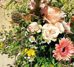 Salon zum Gänseblümchen (
<a href="https://www.instagram.com/salon_zum_ganseblumchen/" target="_blank" >@salon_zum_ganseblumchen</a>
)