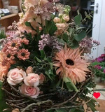 Andrea Oßmann (
<a href="https://www.instagram.com/andreaossmann/" target="_blank" >@andreaossmann</a>
)