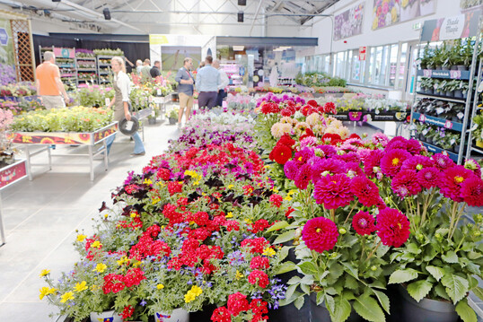 Auf den FlowerTrials lassen sich auch groartige Inszenierungen entdecken. Florensis zeigte einen kompletten Verkaufsraum fr Beet- und Balkonpflanzen.