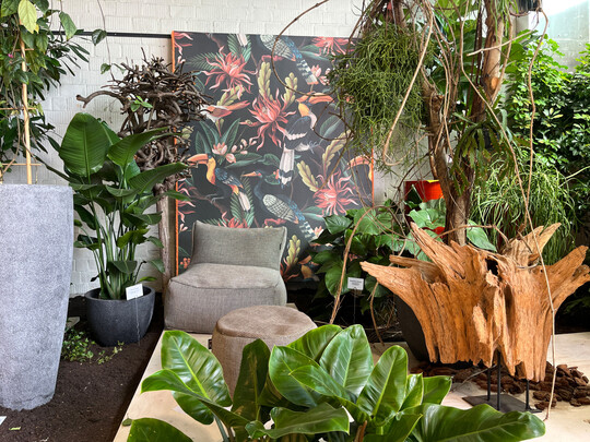 Exotische Eleganz und Besonderheiten wurden in der Schau durch eine passende Tapete oder <br />
Fotowand in Szene gesetzt, das geht auch am POS. Nicht alles braucht solch einen Hintergrundeffekt  sparsam, aber gezielt eingesetzt, bleibt es ungewhnlich und ein Mittel zur Hervorhebung.