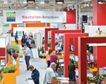 Der Wettbewerb um die besten Pflanzennovitäten wird seit 2008 auf der IPM Essen ausgetragen
