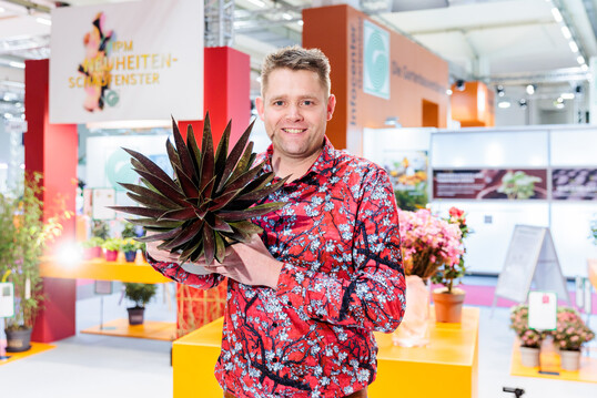In der Kategorie Kbelpflanzen entschied sich die Expertenkommission fr die Mangave Mad about Mangave  Blazing Saddles der Firma Gootjes-AllPlant B.V. aus den Niederlanden als IPM Neuheit 2023. Diese Pflanze entspricht allen aktuellen Forderungen nach einer klimaresilienten Pflanze. Sie ist wrmetolerant, vertrgt intensive Sonneneinstrahlung und bentigt kaum Wasser. Moderne Architektur und puristisch angelegte Grten ergnzt sie perfekt. Sie strahlt mit intensiv grnem Laub, das scheinend rote Sprenkel hat. Ein Glanzpunkt fr Terrasse und Garten.

 Im Bild: Tieme van den Haak.