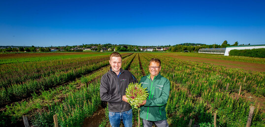 Tobias und Rainer Pinsdorf, Pinsdorf Flowers GbR aus Alfter, produzieren saisonale Schnittblumen.