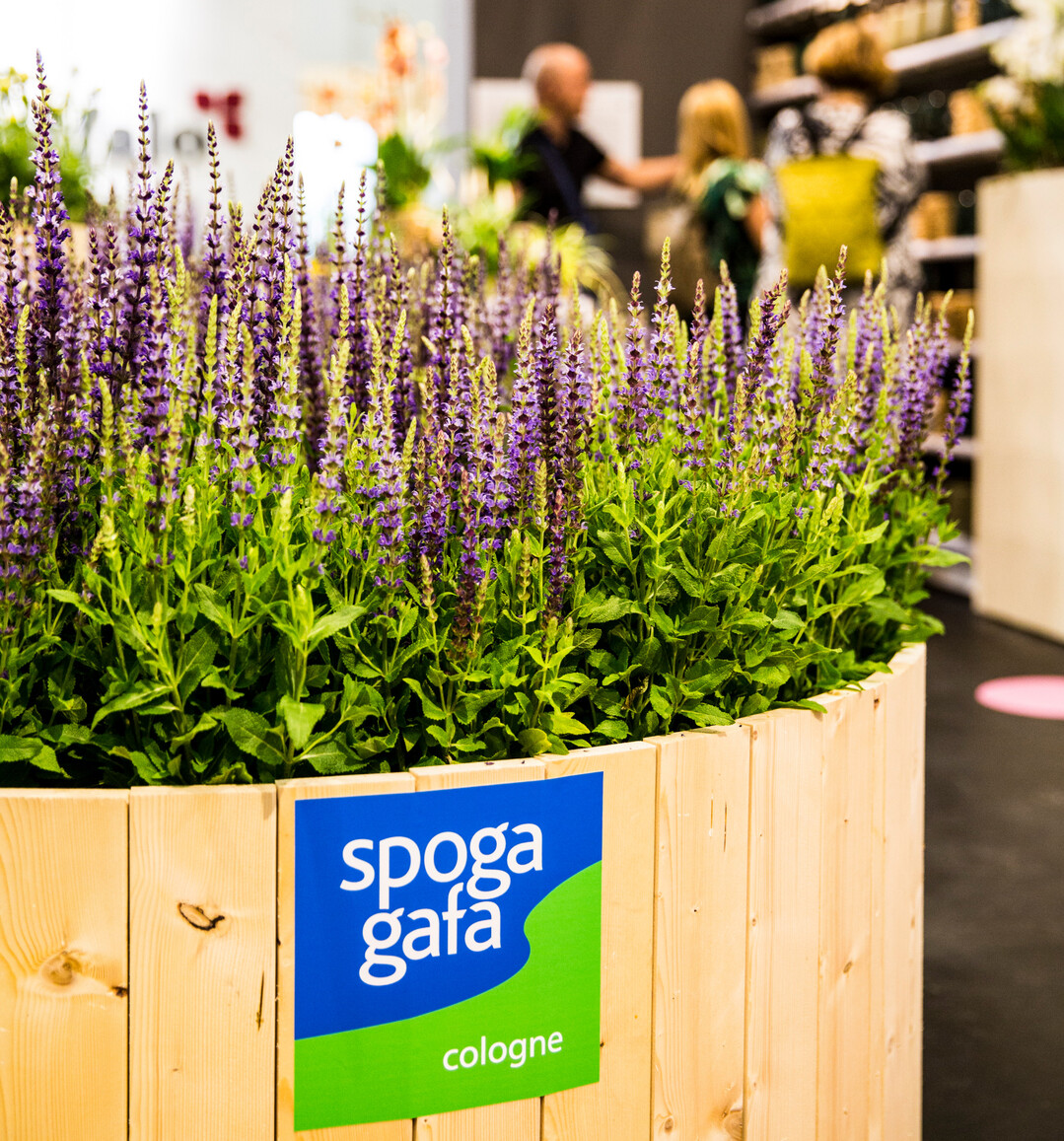Stand: POS Green Solution Islands, garden living, Halle 9