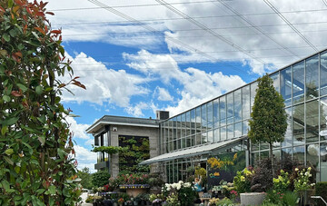 Die Hgel mehr Garten GmbH vereint viele Sparten des Gartenbaus  neben dem Gartencenter gehrt eine Garten- und Landschaftsbauabteilung und eine kleine Bauschulproduktion zum Unternehmen. 