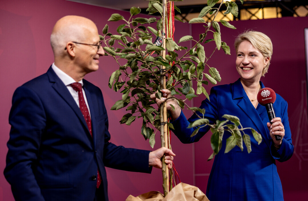 Dieses Jahr startet das Einheitsbuddeln bereits in seine sechste Runde. Traditionell hat die amtierende Bundesratsprsidentin Manuela Schwesig wieder die Schirmherrschaft bernommen. Die Ministerprsidentin  wird am 24. September selbst zum Spaten greifen und im Schlossgarten in Schwerin einen Baum pflanzen, um zum Mitmachen aufzufordern.