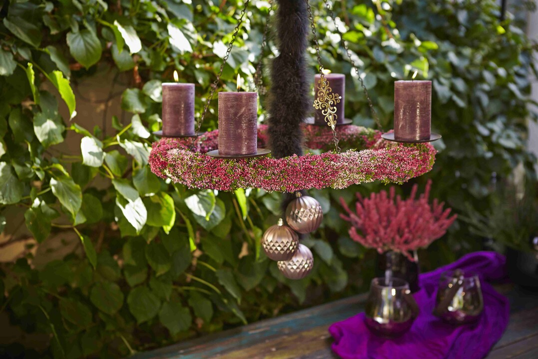 Rendezvous in Violett: Knospenblher zum Candle-Light-Dinner.