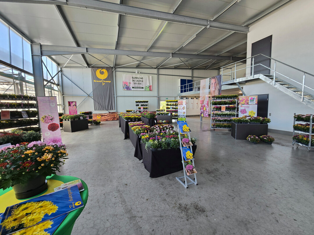 Die Firma Bosch Plants in Broekhuizen stellte freundlicherweise ihre Versandhalle zur Verfgung.