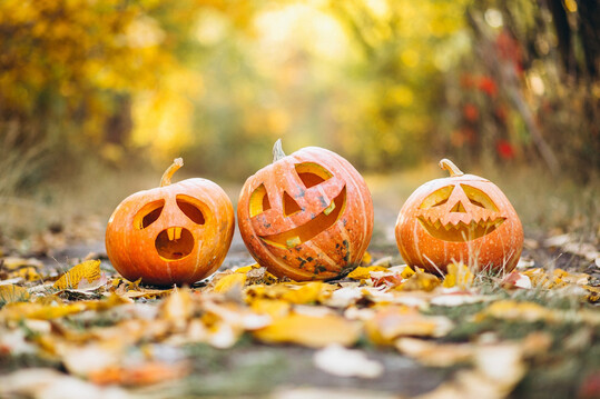 Halloween-Dekoration wird auch in Deutschland immer wichtiger.