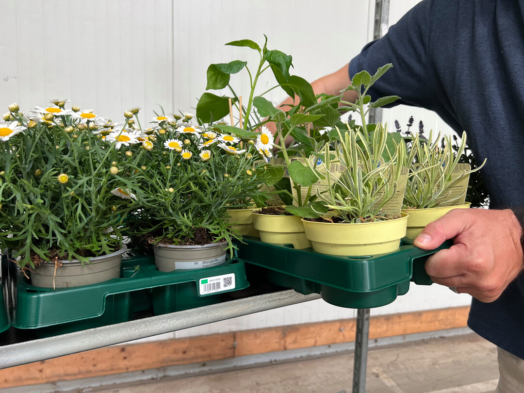 Euro Plant Tray GmbH bietet die Mehrweg-Trays in unterschiedlichen Mietmodellen am Markt an, um die Umstellung der Branche von Einwegplastik zu nachhaltigen Mehrwegtrays auch finanziell zu untersttzen.