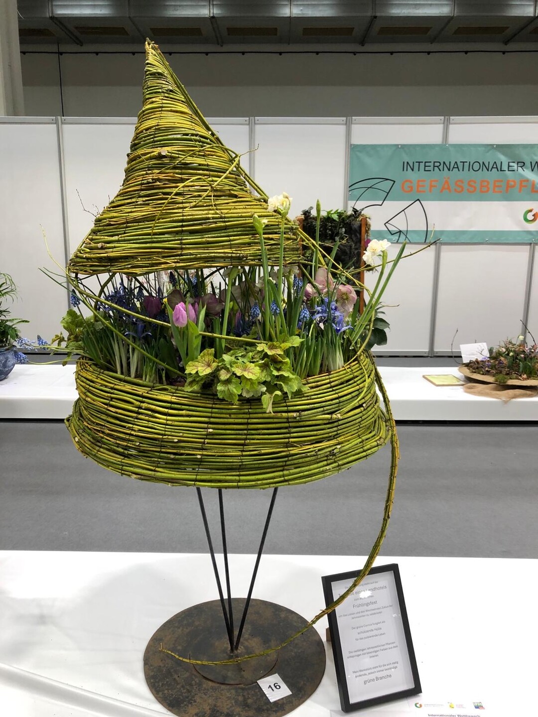 3. Platz Gefbepflanzung / 3rd place potted planting: Merle Ldige.