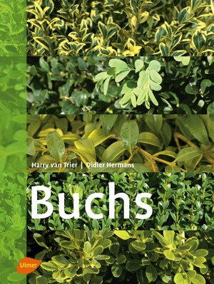 Buchs