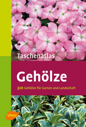 Taschenatlas Gehölze