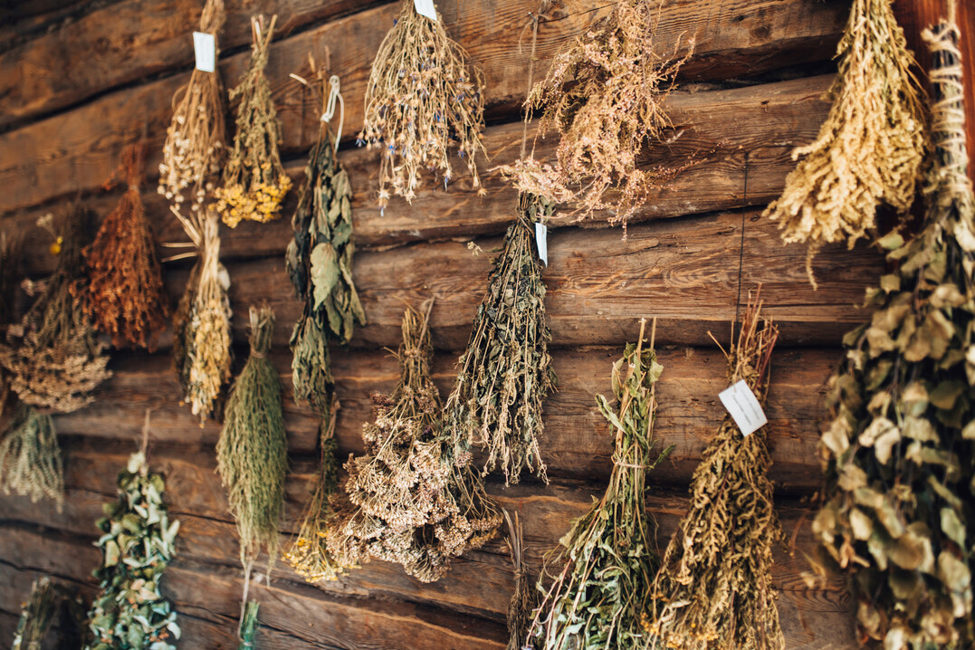 Seminare zum Trocknen von Krutern sind der Start in die Rucher-Welt und lassen sich wunderbar im Gartencenter umsetzen. Hier bekommen die Kunden DIY-Infos zum perfekten Erntezeitpunkt und zur schonendsten Trocknung.