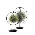 "Industrieller Look, tolles Design und er passt perfekt in den trendigen Zeitgeist".