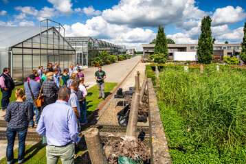Fhrungen im Gartenbauzentrum erluterten Versuchsvorhaben. Hendrik Averdieck stellte einen Versuch zur Standfestigkeit von Alleebumen in Abhngigkeit von den Anzuchtgefen vor.