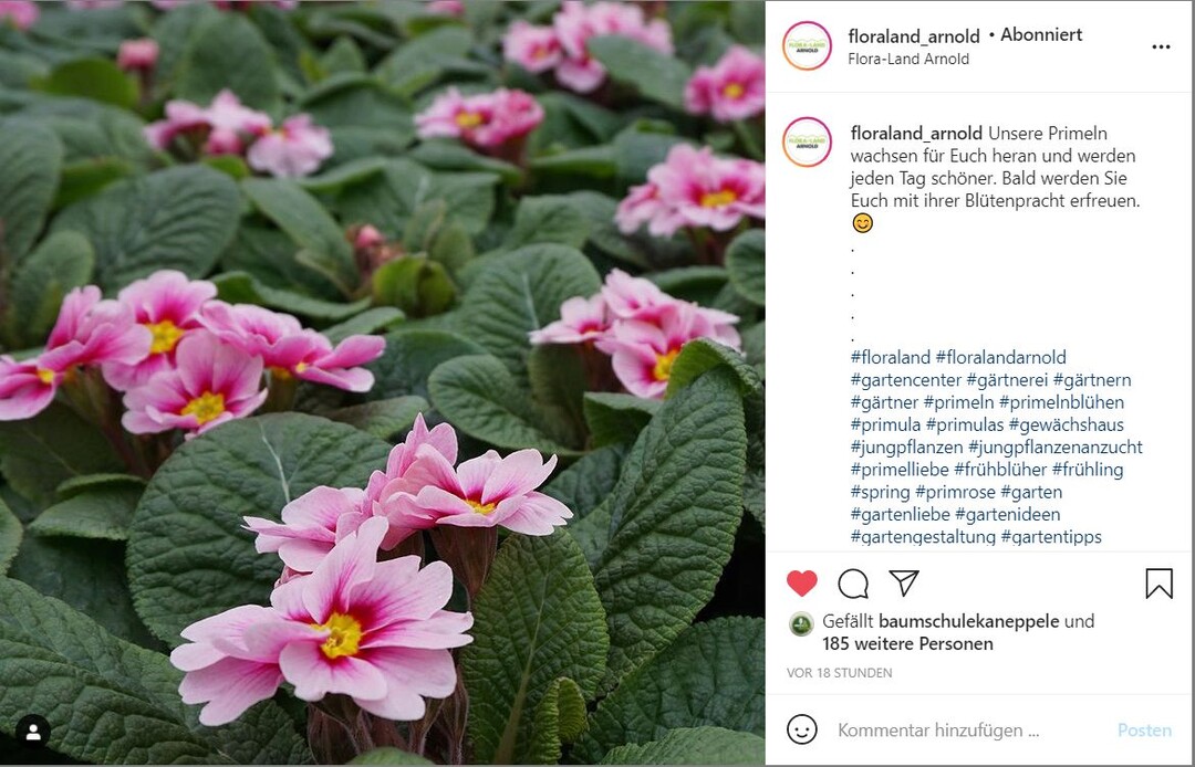 Ein schnes Beispiel von Floraland Arnold in Schneiche bei Berlin.  