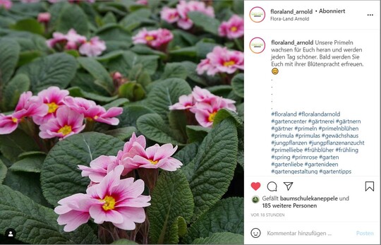 Ein schnes Beispiel von Floraland Arnold in Schneiche bei Berlin.  