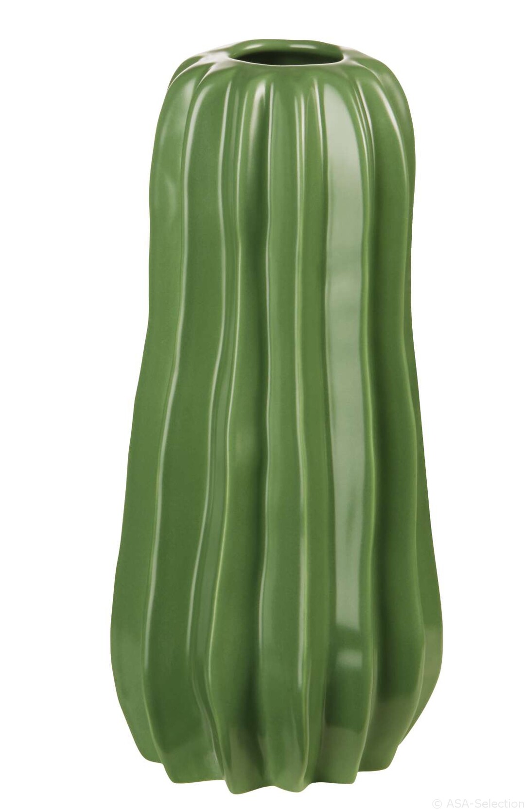 ASA Cactus
