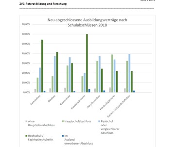 Neu abgeschlossene Ausbildungsvertrge nach Schulabschlssen 2018