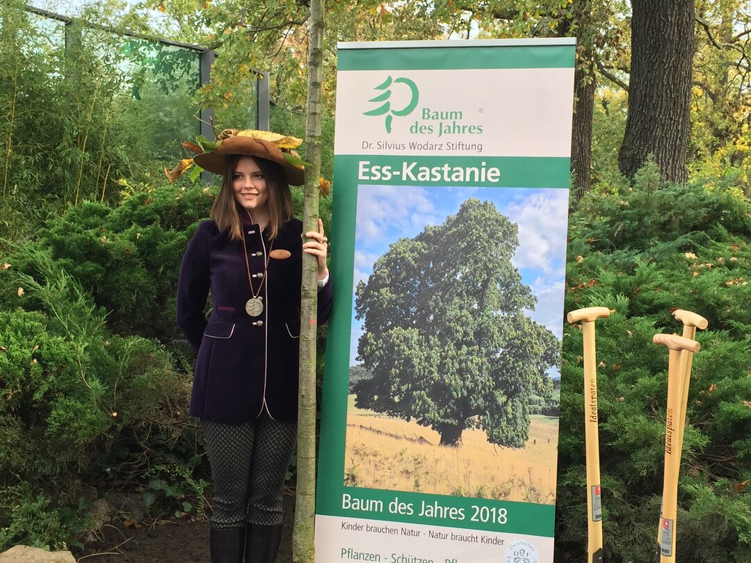 Baumknigin 2018 Anne Khler (Khler Baumschulen, Bruchkbel) bei der Ausrufung zum Baum des Jahres 2018, der Ess-Kastanie, im Zoologischen Garten Berlin